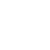 WELLS Logo WHITE 50px