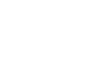 WS logo H Alberta white