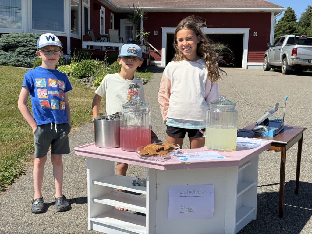 Lemonade Stand for Wellspring