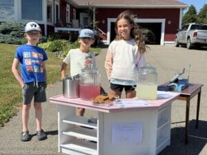Lemonade Stand for Wellspring